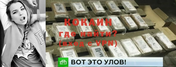 дмт Кинешма