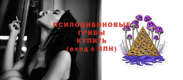 дмт Кинешма