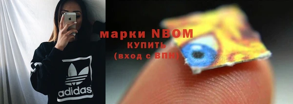 дмт Кинешма