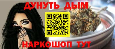 индика Лесосибирск