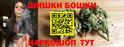 индика Лесосибирск