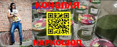 индика Лесосибирск