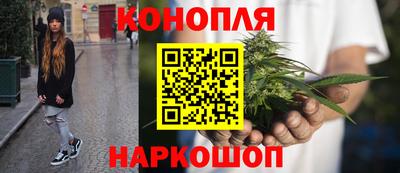 индика Лесосибирск