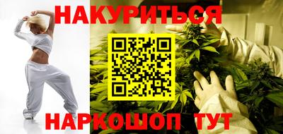 индика Лесосибирск