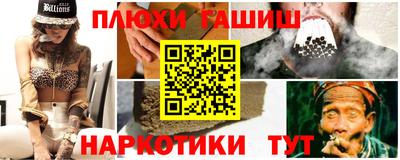 индика Лесосибирск