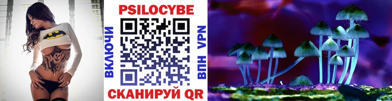 мега как войти  купить наркотики сайты  Сургут  Псилоцибиновые грибы прущие грибы 