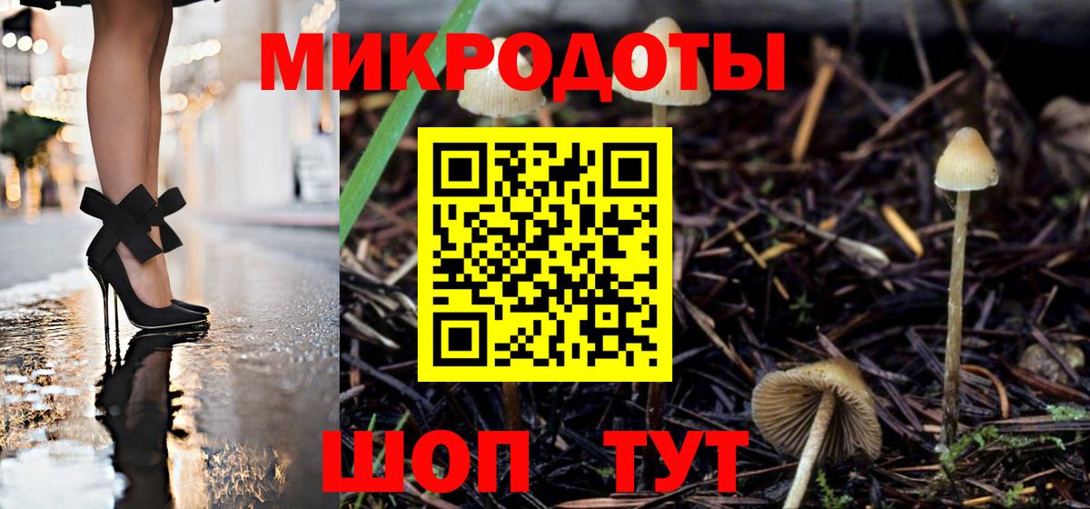 Псилоцибиновые грибы Cubensis  Вход с VPN  купить наркотики цена  Сургут 